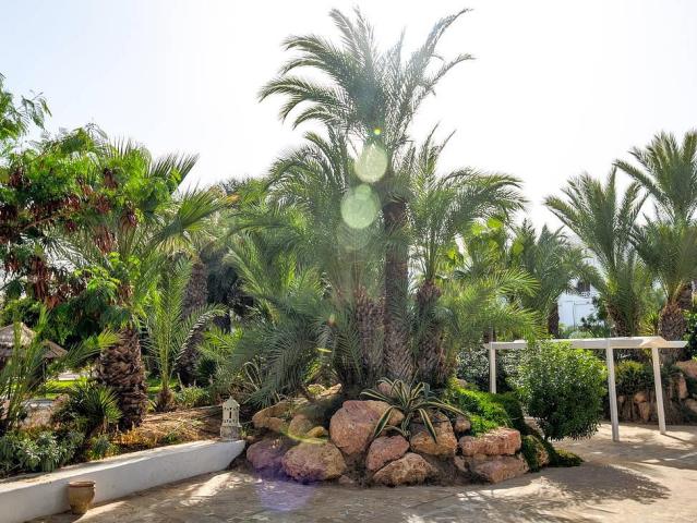 Vincci Djerba Resort