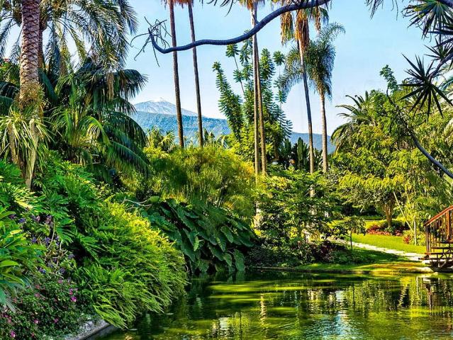 Botánico & The Oriental Spa Garden