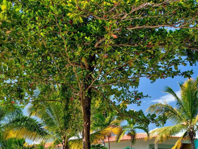 VH Gran Ventana Beach Resort