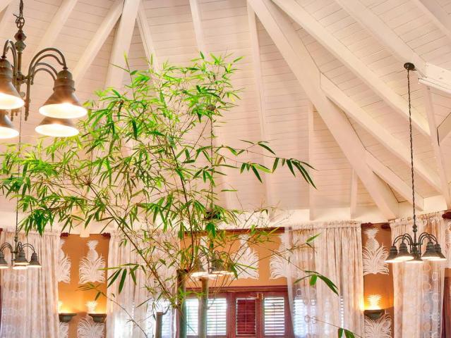 VH Gran Ventana Beach Resort