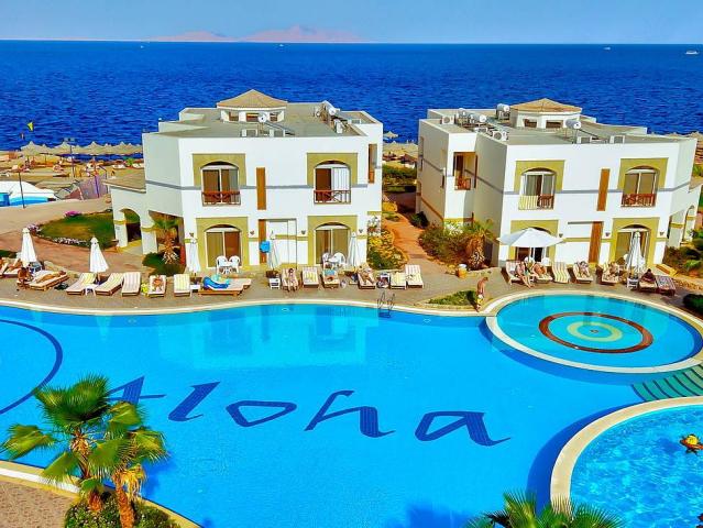 Shores Aloha