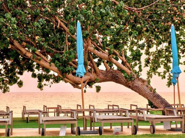 Kacha Resort & Spa