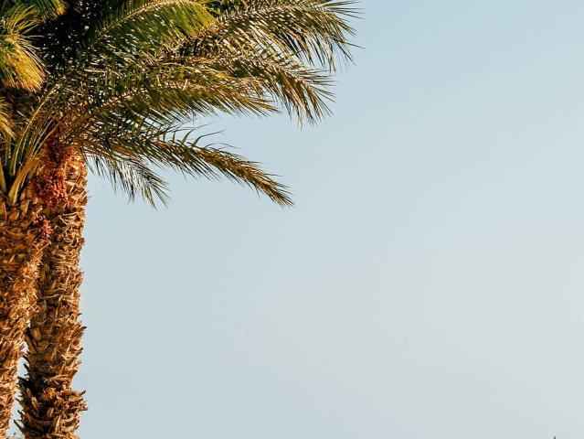 Baron Palace Sahl Hasheesh