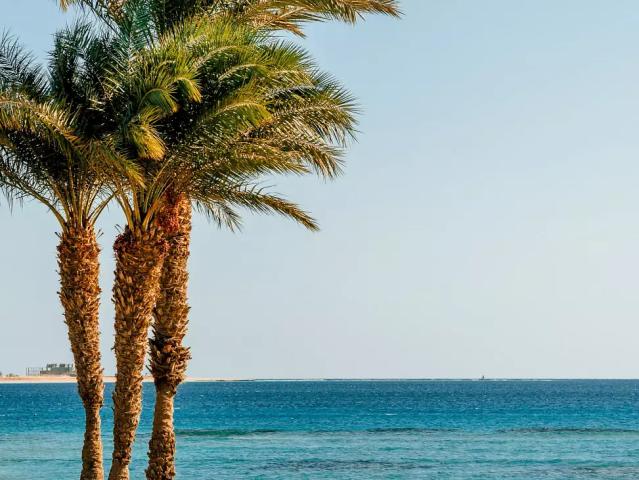Baron Palace Sahl Hasheesh
