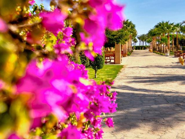 Gemma Beach Resort