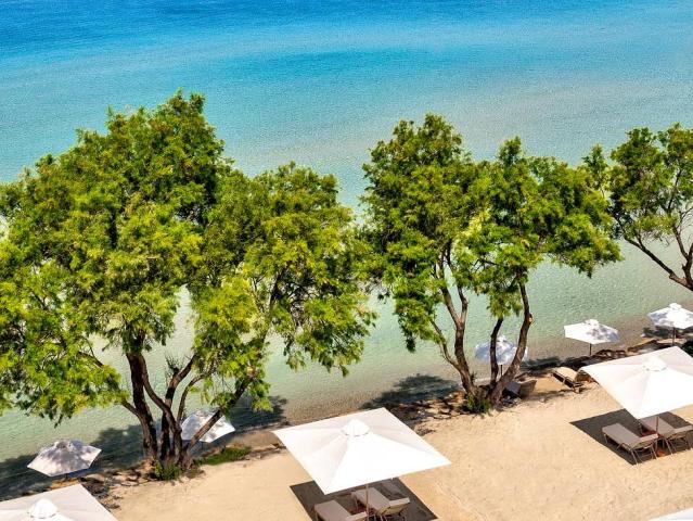 Sani Beach Club