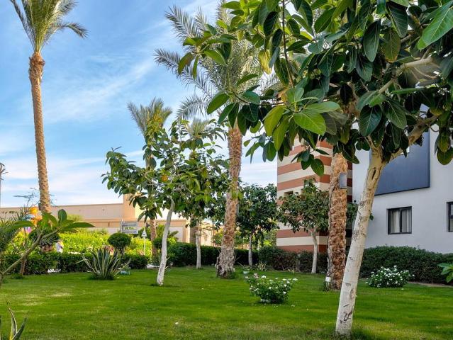 Radisson Marina Resort Port Ghalib
