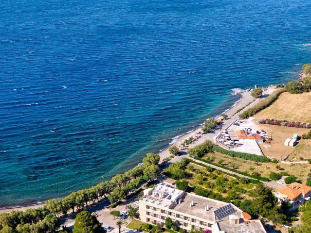 Aquamare