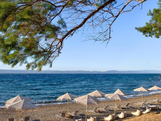 Aquamare