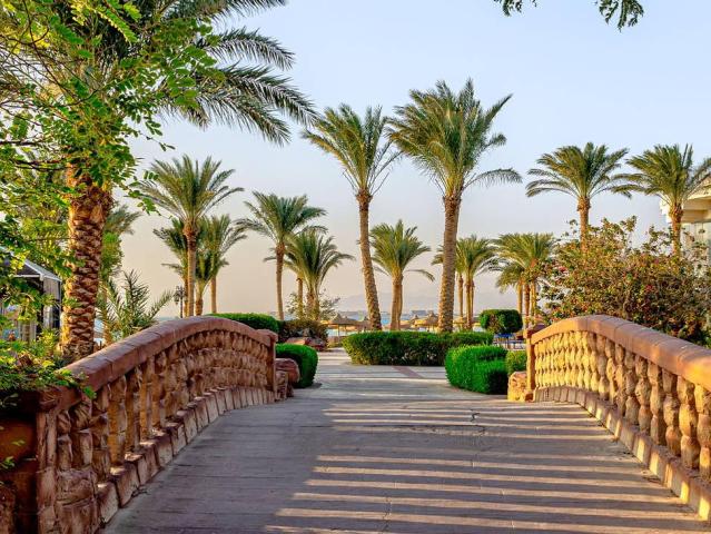 Palm Royale Soma Bay