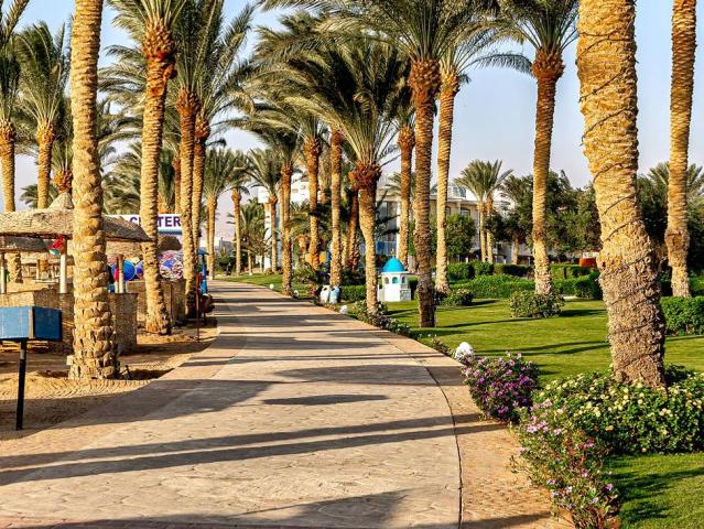 Palm Royale Soma Bay