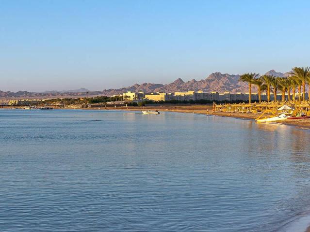 Palm Royale Soma Bay