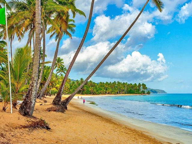 Viva Wyndham V Samana