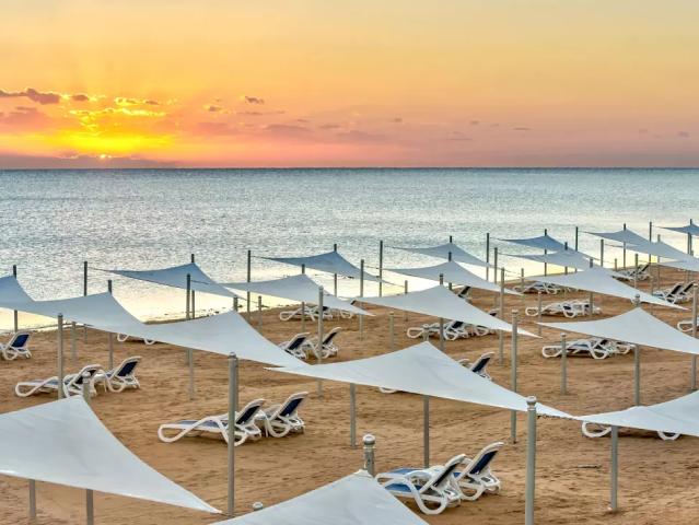 Gravity Sahl Hasheesh