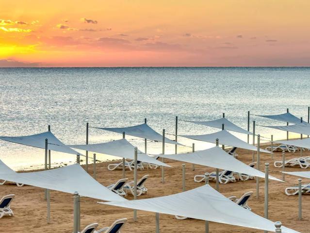 Gravity Sahl Hasheesh