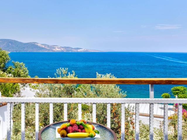Blue Dreams Resort