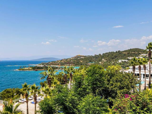 Blue Dreams Resort