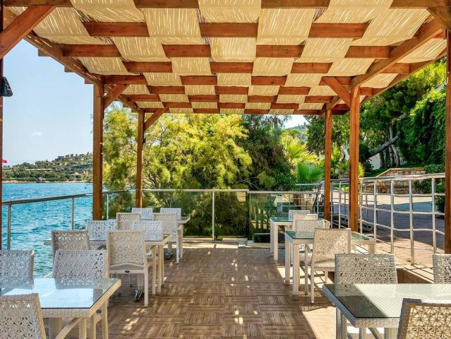 Blue Dreams Resort