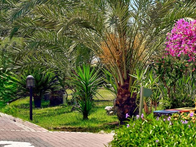 Seaden Sea World Resort