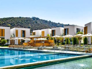 Voyage Torba