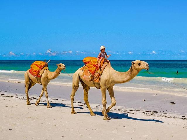 Diani Sea Resort