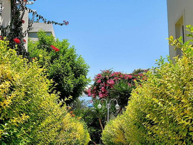 Mandarin Resort