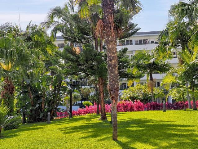 Suite hotel Jardins d´Ajuda