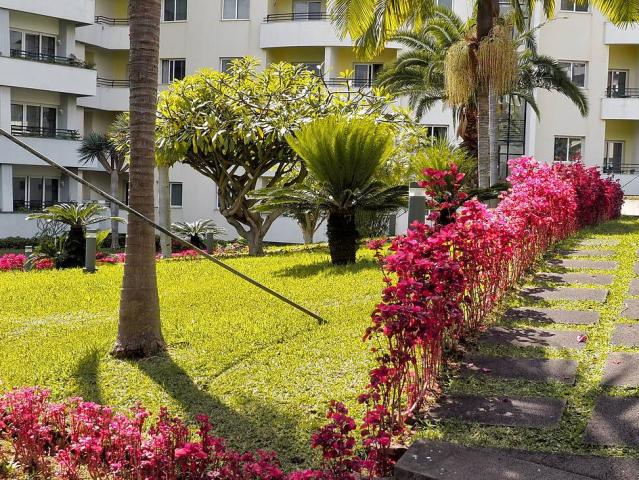 Suite hotel Jardins d´Ajuda