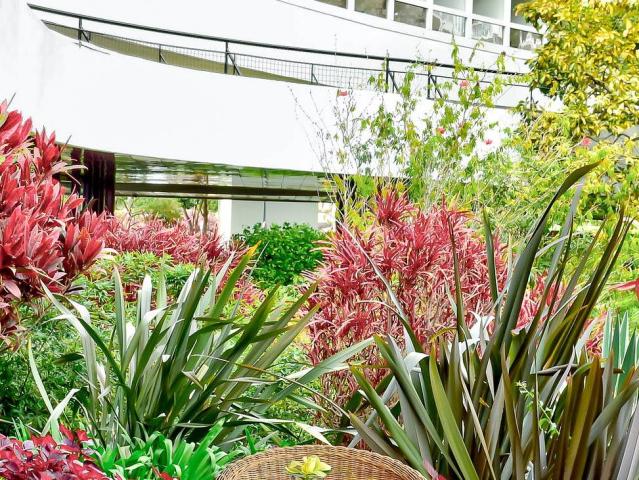 Pestana Casino Park