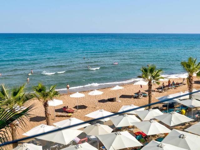 White Olive Elite Rethymno