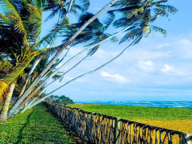 The Blue Water Hotel & SPA