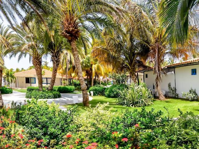 Sunsol Punta Blanca