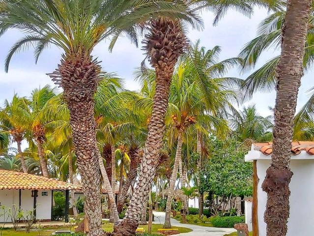Sunsol Punta Blanca