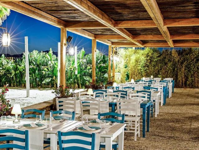 Regnum Carya