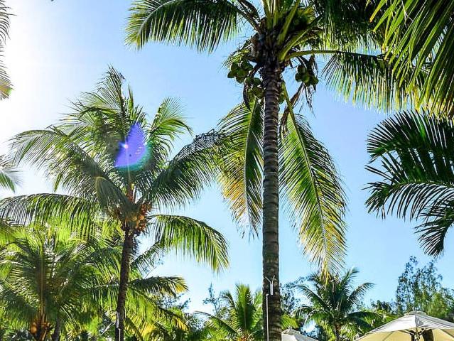 Tarisa Resort & Spa