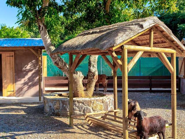 Maritim Resort & Spa Mauritius