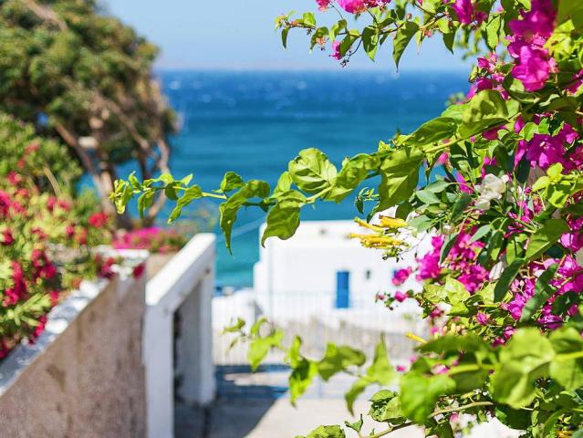 Alkistis