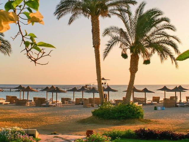 Egypt - síla jihu z Marsa Alam