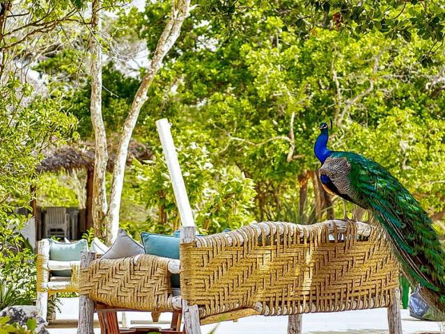 The Sands at Chale Island