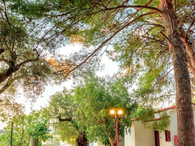 Alykes Park