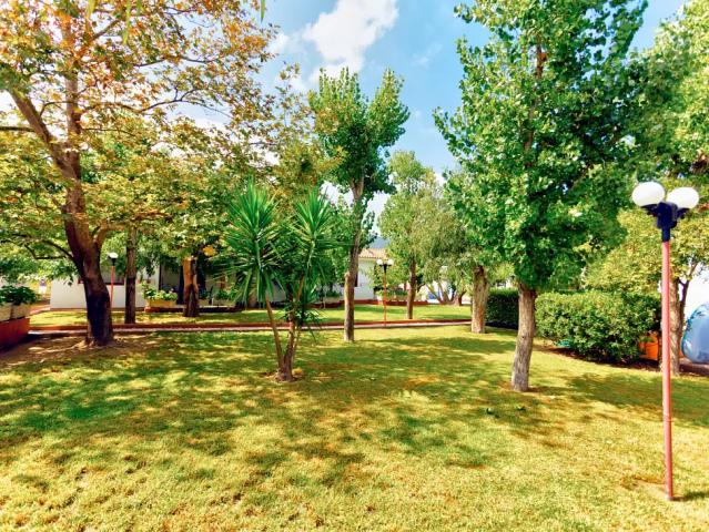 Alykes Park