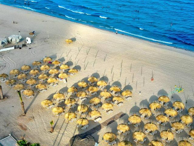 One Resort Premium