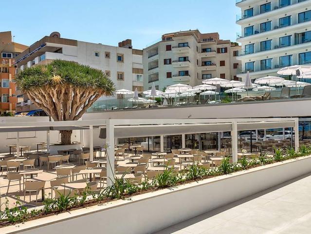 Palia Tropico Playa