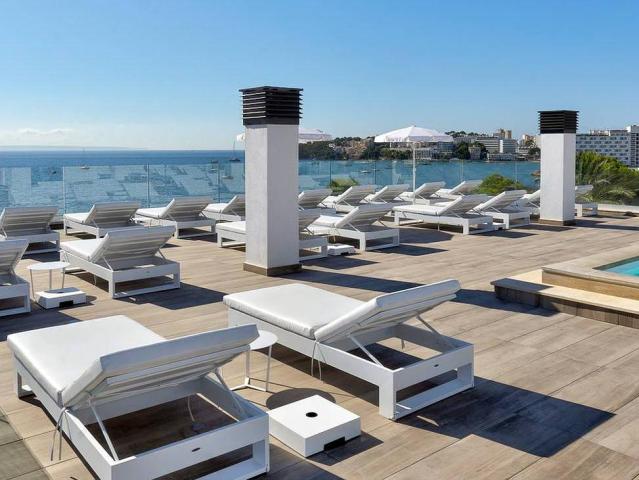 Palia Tropico Playa