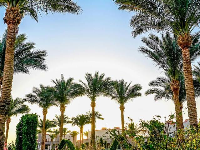 Sentido Akassia Beach