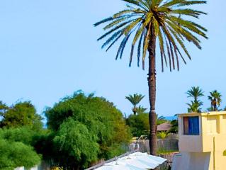 Tropicana Club