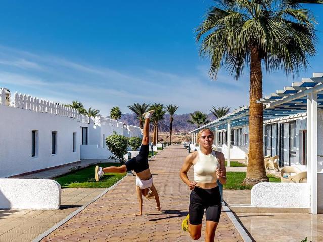 Albatros Sharm Resort