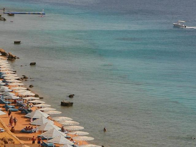Albatros Sharm Resort