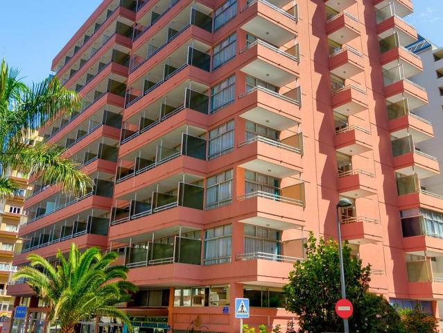 Concordia Playa