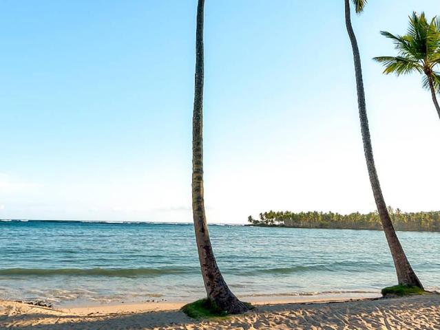 Wyndham Alltra Samana